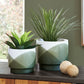 Ardenridge - Planter Set (Set of 2) - Green / White