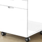 Rolling Mobile File Cabinet with Storage Drawers