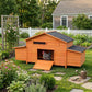 Large Wooden Chicken Coop with 2 Nesting Boxes