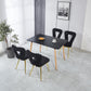 Modern Chair Set of 2 with Golden Color Iron Tube Legs