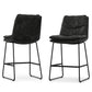 Danika Counter Height Stool (Set of 2)