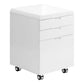 Rolling Mobile File Cabinet with Storage Drawers