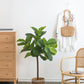 25x25x52"H Fiddle Fig Leaf Tree, 40 Leaves
