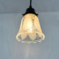 Frosted Leaf Embossed Clear Pendant Light