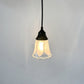 Frosted Leaf Embossed Clear Pendant Light