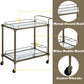 Aditya Mirrored & Antique Kitchen Cart