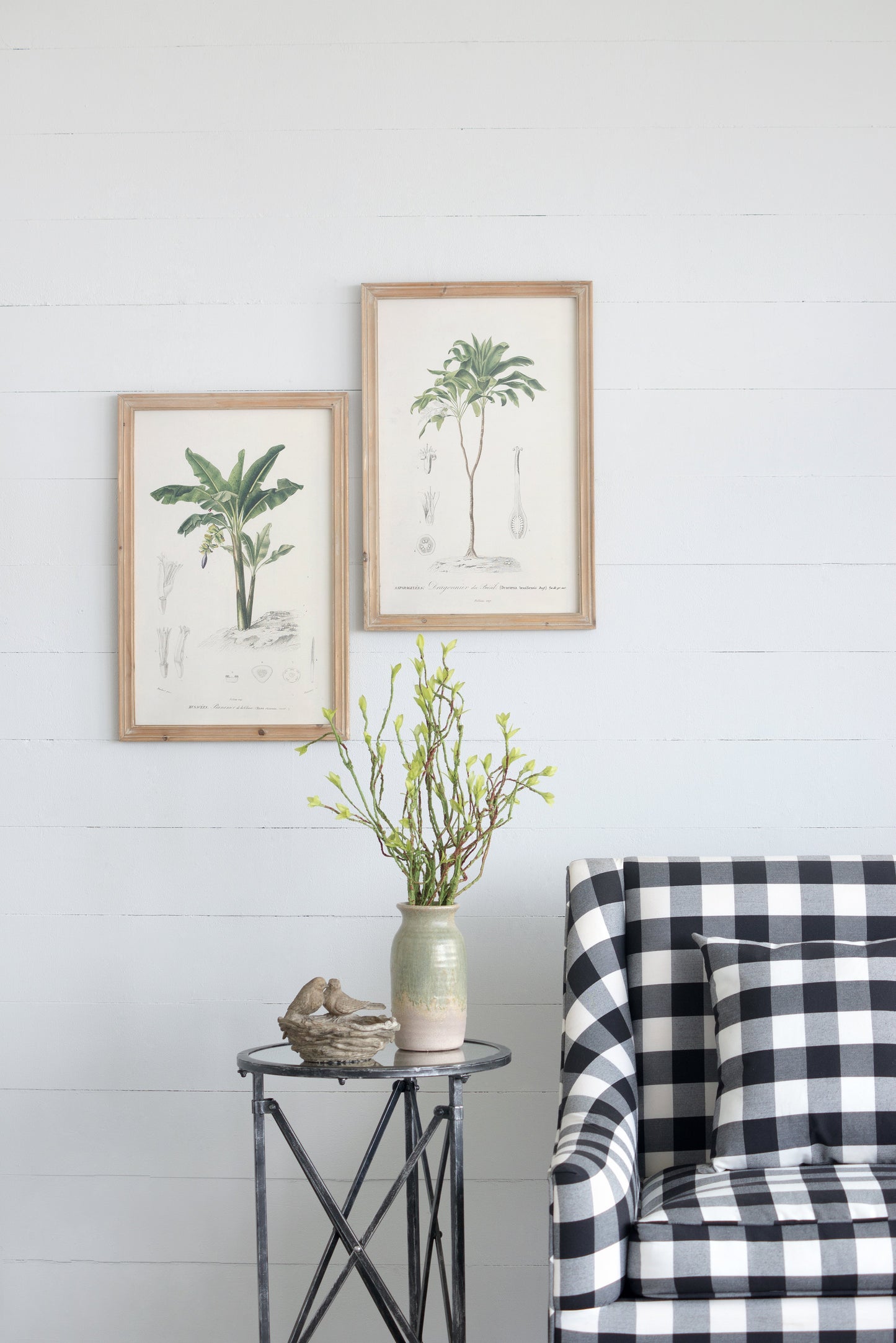 Set of 2 Tree Framed Prints