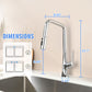 Professional Kitchen Faucet