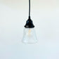 Frosted Leaf Embossed Clear Pendant Light