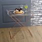 Cercie Clear Acrylic Tray Table