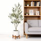 5' Artificial Olive Tree in