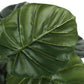 Artificial Alocasia Plant - 24" Tall Indoor Faux Greenery
