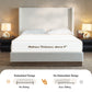 Hosford Upholstered Wingback Bed - California King - Oat Boucle