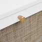 Modern Rattan 3 Door Shoe Rack Cabinet for Entryway