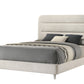 Plush Upholstered Design 1pc Queen Size Panel Bed