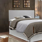 Nova G0114-QHB Queen Headboard - Light