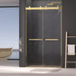 Frameless Dual Sliding Shower Door