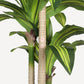 5' Artificial Dracaena Tree