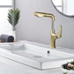Brushed Bathroom Sink Faucet