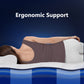 Bedstory Spine Align Pro 13" Twin Firm Hybrid Mattress