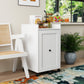 Organizer for Pantry - Sliding Out Snack Cabinet