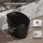 Smart Toilet with Bidet Built In - Black