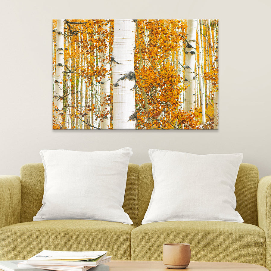 Autumn Tree Barks Canvas Wall Art