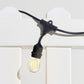 Ambience Pro LED Plug-in String Lights
