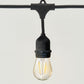 Ambience Pro LED Plug-in String Lights 1W