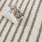 Jola Taupe Area Rug - Clearance