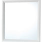 Primo G1339-M Mirror