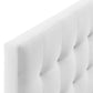 Lily Biscuit Tufted Performance Velvet Queen Headboard by Modway