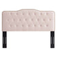 Sophia Tufted Performance Velvet Twin Headboard by Modway