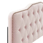 Sophia Tufted Performance Velvet Full/Queen Headboard by Modway