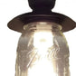 Mason Jar Exterior Outdoor Porch Farmhouse Ceiling Light Fixture