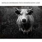 Longhorn Cattle Portrait Canvas Wall Art