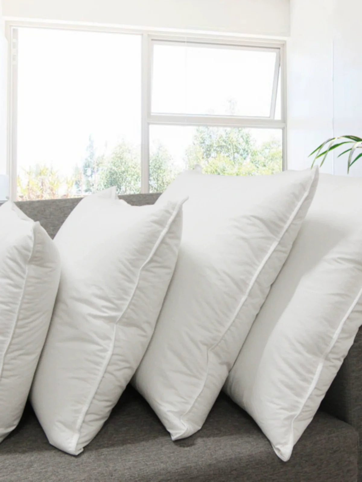 Throw Pillow Filler Goose Feather down Car and Office Sofa