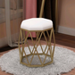 Nordic Light Luxury Internet Celebrity Leisure Home Hotel Dining Chair