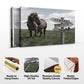 Classic Horse Family Name Sign