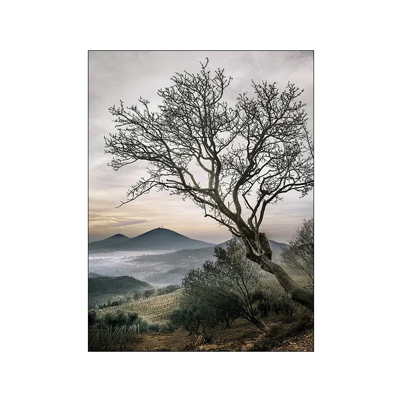 Nature Landscape Picture Wall Art Silk Painting Nordic  Modern Scenery Art Home Decor Poster and Print for Living Room Design