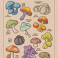 Video Game Inspired Flora of Hyrule Koroks Posters Mushroom World Plant Book Canvas Painting Print Wall Picture Game Room Decor