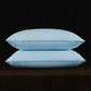 2pcs White Goose Down Feather Pillow for Sleeping Soft Bed Pillow with 100% Cotton Shell Standard Queen Size Back, Side Sleeper