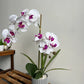 Phalaenopsis Potted Bonsai Fake Flower With Leaf Potted Plant Fake Orchid Flower Arrangement Living Room Indoor Decoration