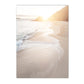 Modern Scenery Landscape Poster Coconut Reed Shell Beach Art Canvas Painting Palm Leaves Print Nordic Wall Pictures Home Decor