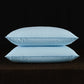 2pcs White Goose Down Feather Pillow for Sleeping Soft Bed Pillow with 100% Cotton Shell Standard Queen Size Back, Side Sleeper
