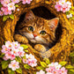 Cute Kittens Various Scenes Poster Funny Baby Cat in Daisy Field Watching Sunset on Beach Sleeping Canvas Print for Home Decor