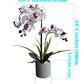 Phalaenopsis Potted Bonsai Fake Flower With Leaf Potted Plant Fake Orchid Flower Arrangement Living Room Indoor Decoration