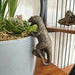 Decorated dinosaur statues, plant hangers decorated dinosaurs, cute animals, potted plants, buddies, dinosaurs, decorative hange