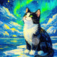 Cute Kittens Various Scenes Poster Funny Baby Cat in Daisy Field Watching Sunset on Beach Sleeping Canvas Print for Home Decor
