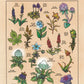 Video Game Inspired Flora of Hyrule Koroks Posters Mushroom World Plant Book Canvas Painting Print Wall Picture Game Room Decor